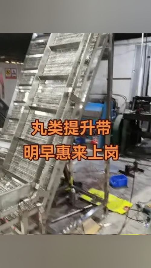 專業丸類設備制造商 肉類輸送提升帶 工廠實拍視頻 肉類加工設備 偉亨食品機械