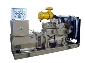 臨沂專業(yè)出租應(yīng)急發(fā)電機,租賃靜音發(fā)電機組